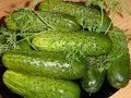 Малосольные огурцы хрустящие. Самый быстрый и вкусный рецепт.