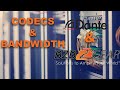 All You Need to Know About Dante AV Bandwidth and Codecs