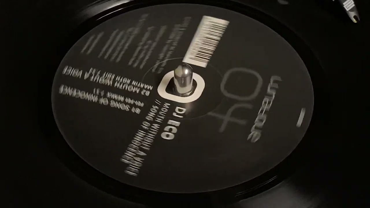 DJ ECO - MOUTH WITHOUT A VOICE (MARTIN ROTH EDIT)