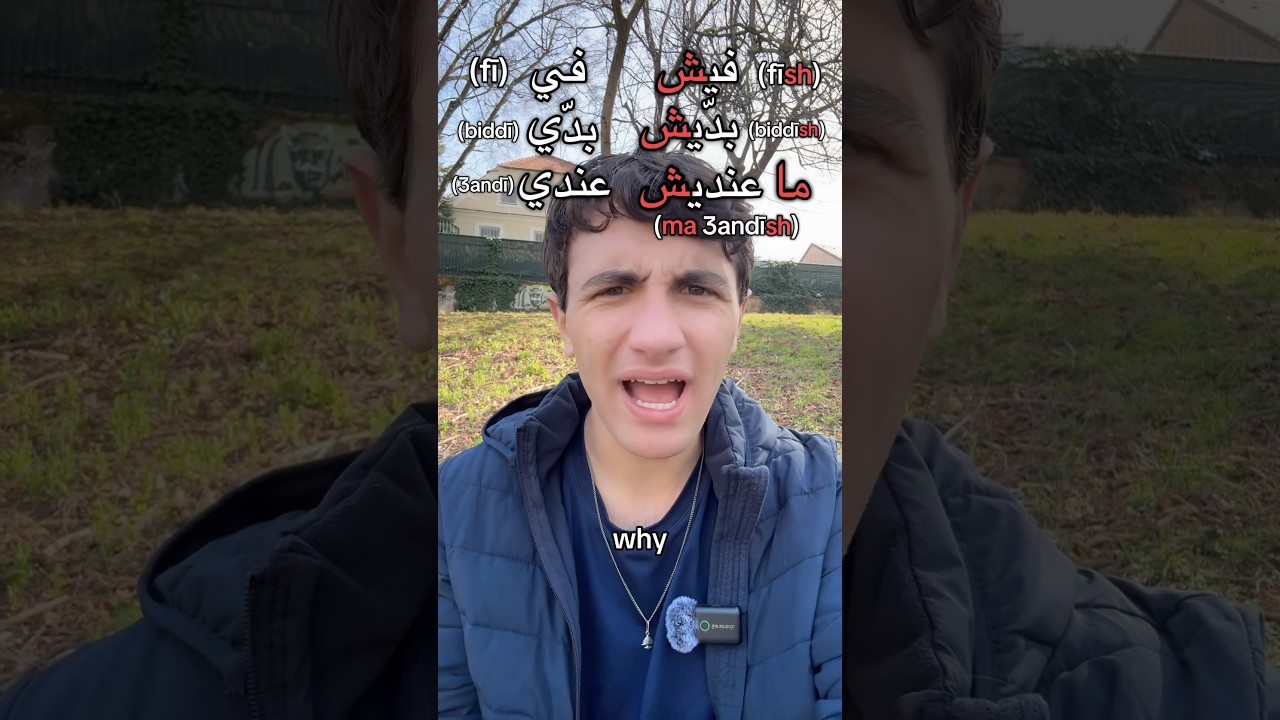 Почему в палестинском арабском языке отрицание делается именно так? 