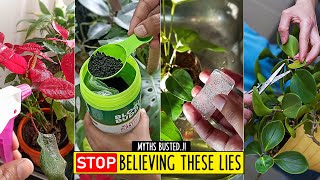 Plant Care Myths Debunked ! Stop Believing These Lies !