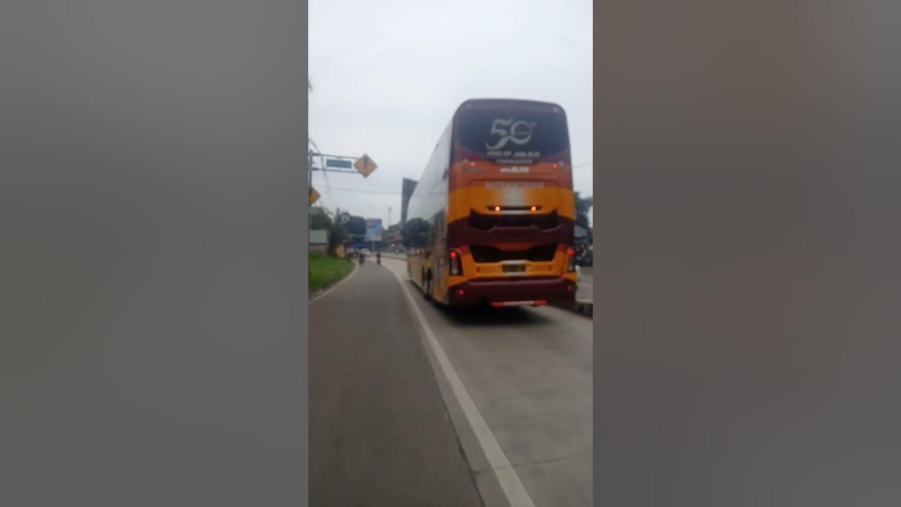 king of Java bus #shorts #busnusantara - YouTube