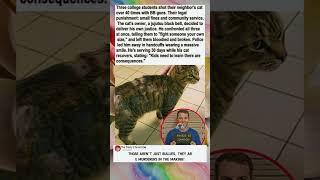Three college students shot their neighbor's catover 40 times with BB guns. Their legal
