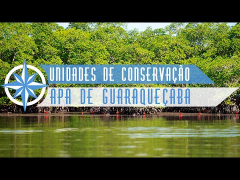 Área de Preservação Ambiental de Guaraqueçaba - Episódio 7