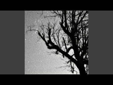 Παρακολούθηση Limerence στο YouTube Παρακολούθηση Limerence στο YouTube