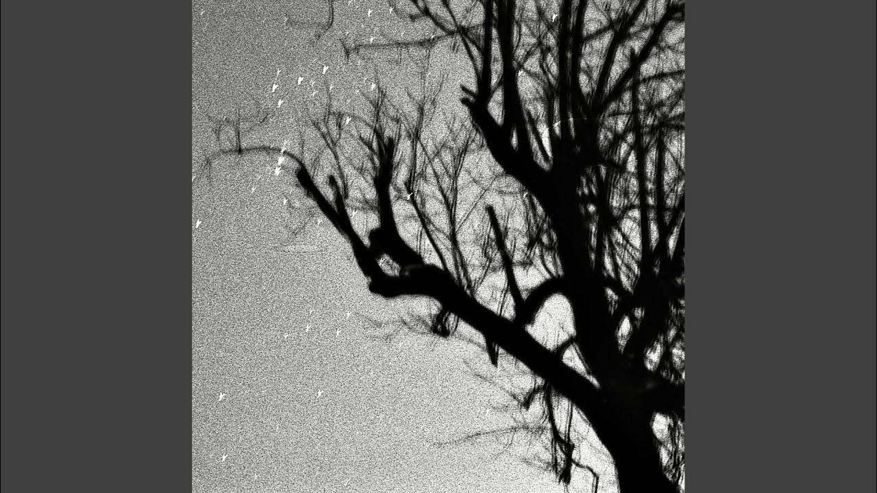 YouTubeでLimerenceを視聴 YouTubeでLimerenceを視聴