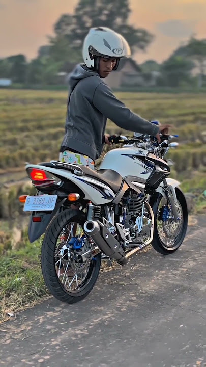 manasi tiger herex #tigermaniaindonesia