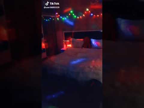 تتمممنك حكوماتهم الكون متمةظ ظو ننمنز