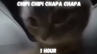 Chipi Chipi Chapa Chapa 1 Hour