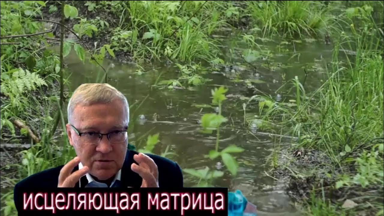 Царь матрица гаряева. Матрицы гаряева. Матрицы п. Исцеляющая матрица п п гаряева. Как правильно слушать матрицы гаряева.