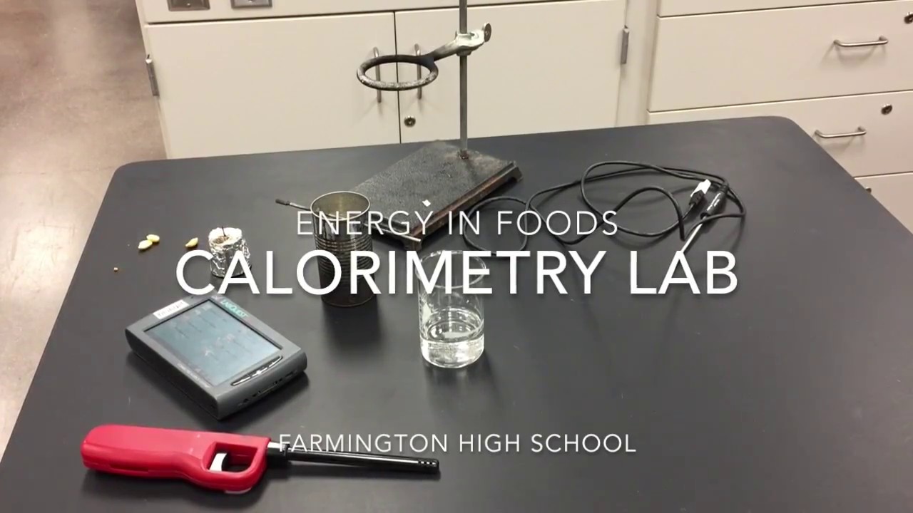 Energy In Foods Calorimetry Lab