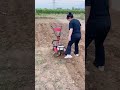 Small gasoline micro tillage machine Multifunctional Rotary Tiller Weeder Cultivator..👍