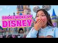 Disney World BROKE INFLUENCER Ruins Everything!