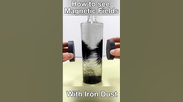 How to see Magnetic Fields with Iron Dust