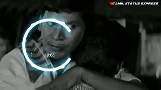 Vadi potta pulls veliya Tamil remix songs hd 720p