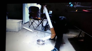 Automatic dog feeder