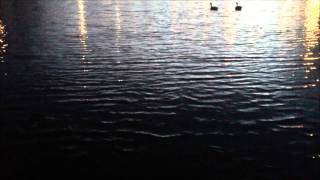 Catching A Small Carp On An Ice Rod