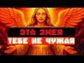 ЭТА ЗМЕЯ ТЕБЕ НЕ ЧУЖАЯ 🐍 БУДЬ НАСТОРОЖЕ, ИЗБРАННЫЙ!