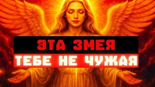 видео: ЭТА ЗМЕЯ ТЕБЕ НЕ ЧУЖАЯ 🐍 БУДЬ НАСТОРОЖЕ, ИЗБРАННЫЙ! картинка: ЭТА ЗМЕЯ ТЕБЕ НЕ ЧУЖАЯ 🐍 БУДЬ НАСТОРОЖЕ, ИЗБРАННЫЙ!