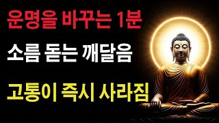 진공묘유"가 도대체 뭐길래? 허운 대사가 물 한 그릇으로 증명한 놀라운 진실