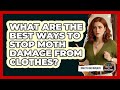 What Are The Best Ways To Stop Moth Damage From Clothes? - Insects and Invaders