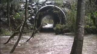 Aquatic Passage Restoration