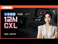8. CXL 완전정복! AI 시대 핵심 인터커넥트 기술 [정보관리기술사 136회 1교시 기출해설]