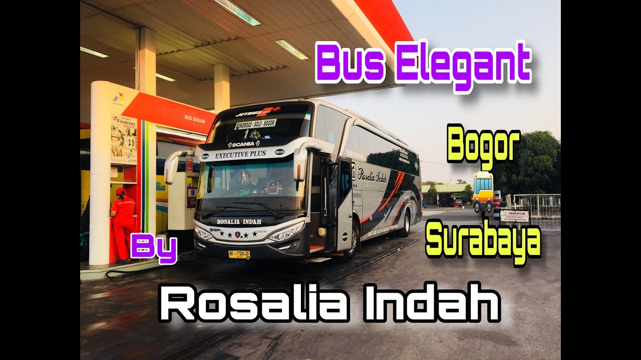 Bus Rosalia Indah Bogor - Surabaya - YouTube