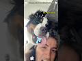 When you have an affectionate dog#dog #dogs #dogsoftiktok #funny #doglover