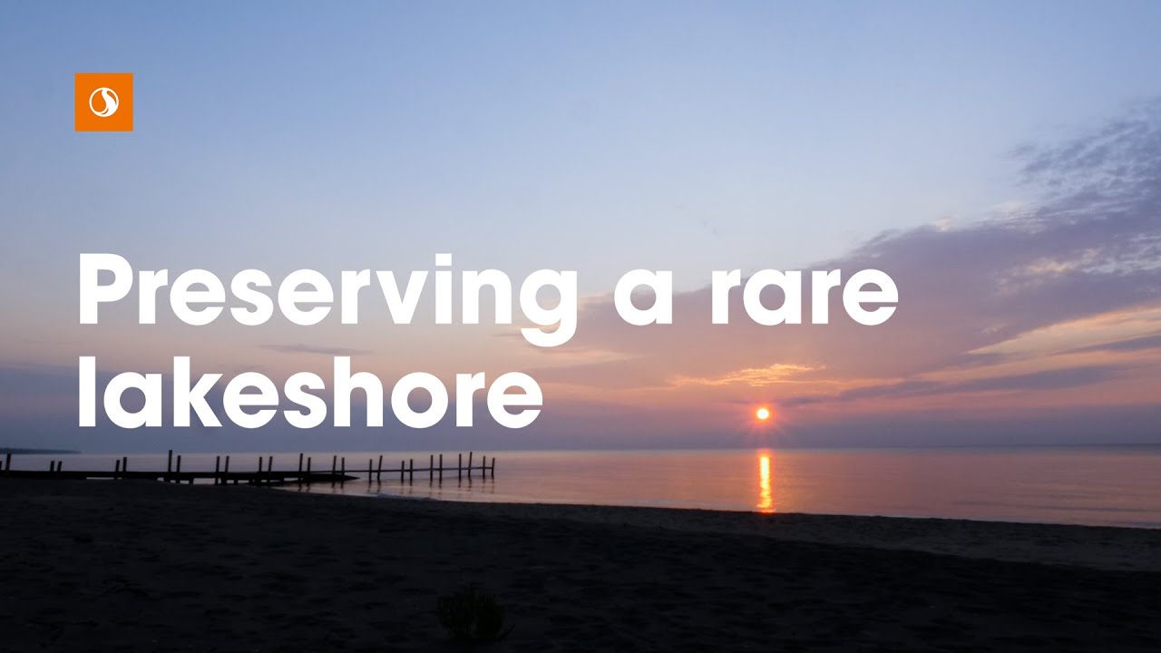 Restoring the coastal resilience of a unique Great Lakes ecosystem ...
