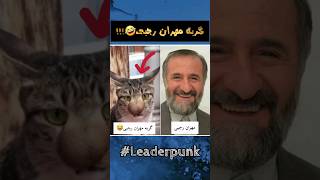 گربه مهران رجبی چقدر شبیهشه???خنده اکسپلور رونالدو فوتبال