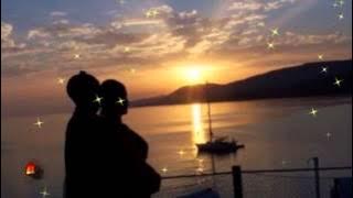 Andy Williams-Speak Softly Love(Lyrics)