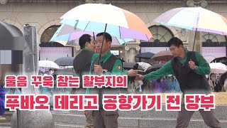 푸공주 잠시만 안녕... 푸바오와 먼 여행길에 오르는 강철원 사육사의 마지막 당부, 푸바오를 잊지 말아주세요 Baby Panda Fu Bao by 판판티비 panpanTV 16,233 views 2 months ago 7 minutes, 10 seconds