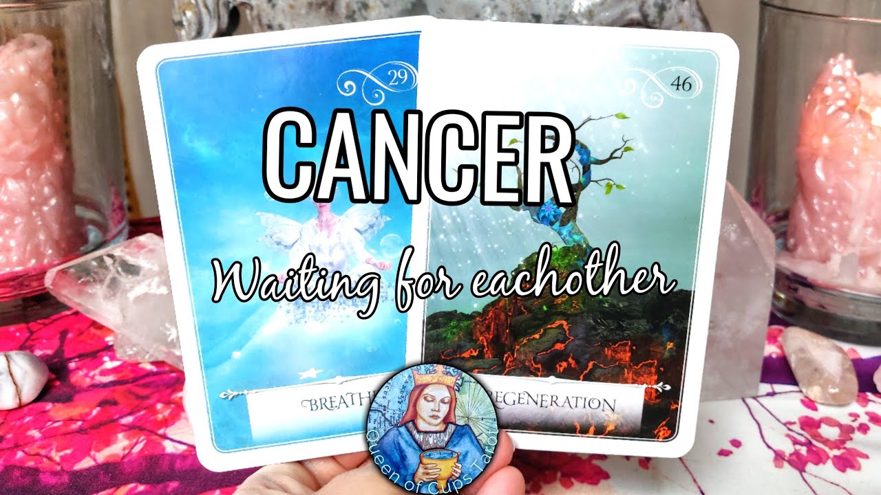 Cancer ♋ LOVE July 2021 – They want you to come and chase them!