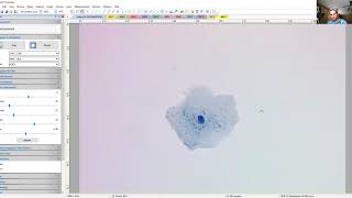 1406 Lab Video: Animal Cell Structures (Cheek Cell Slide)