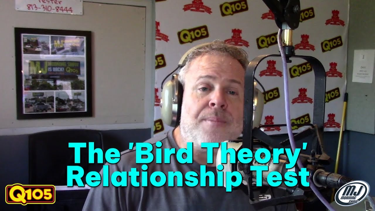 Тест на взаимоотношения «Теории птиц»