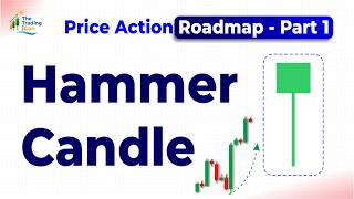 Hammer Candlestick Pattern Explained in Hindi | Price Action Roadmap Part 1