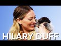 Hilary Duff Plays With Puppies While Answering Fan Questions