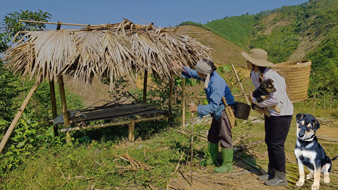 Kind old lady helps a homeless girl and her little dog with an abandoned housel @trieuly-vn