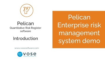 Pelican Enterprise risk management system demo