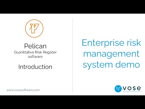 Pelican Enterprise risk management system demo