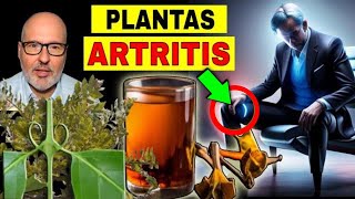 PLANTAS que SANAN la ARTRITIS (DOLOR ARTICULAR) CÓMO SE USAN