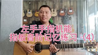 大部分吉他初学者没有练过的一套音阶指法练习,提高左手机能