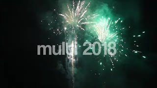 Multi 2018