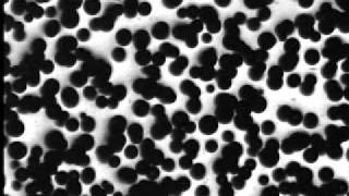 low-viscPS.avi