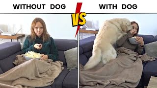 Life Before and After Having a Dog by Happy Life With Golden 3,382 views 1 month ago 2 minutes, 2 seconds