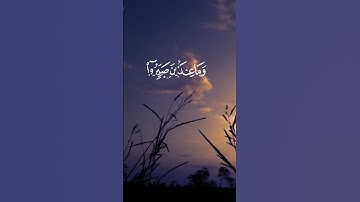 سورة النحل الآية 96 بصوت القارئ محمد الفقيه