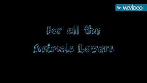 WeVideo|| Slideshow|| By: Kay