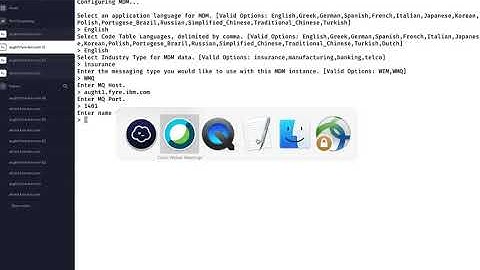 IBM InfoSphere Master Data Management Accelerated Deployment Part 2
