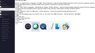 IBM InfoSphere Master Data Management Accelerated Deployment Part 2